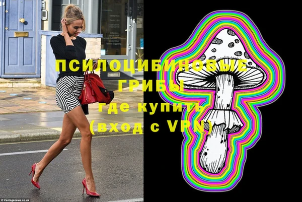 трава Медвежьегорск
