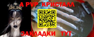 гашик Будённовск