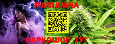 гашик Будённовск