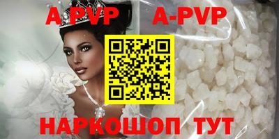 гашик Будённовск