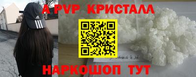 гашик Будённовск