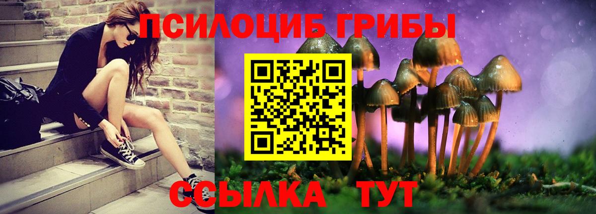 Галлюциногенные грибы Cubensis  Вход с VPN  Котовск 